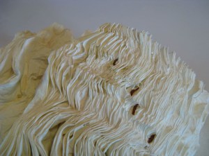 Dictionary Detail (From the Series Ex Libris), 2000Petrified Book (High-fired Book in Kiln)H 7” x W 15” x D7”H18 x W38 x D18cm