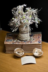 5564043403_bfda358326