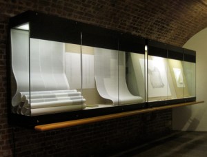 "Darwin" by Sam Winston