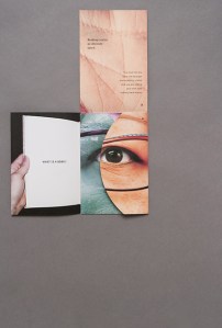 07FlyingFish_3-2011sml