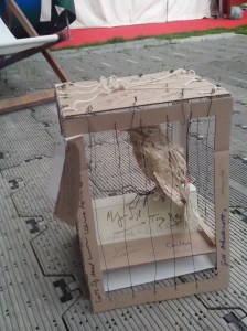 IMG_20130821_190359-768x1024