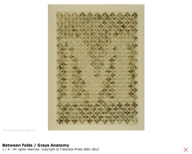 Between Folds - Anatomy - Letter M