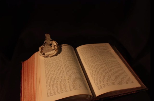 Danielle Lathrop, Book Art, 2013 The White Rabbit and Alice sequence