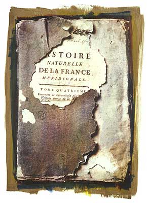 Natural History Multi-layered gum bichromate print 30" x 22" on Rives BFK 2004 Copyright © Wilber H. Schilling