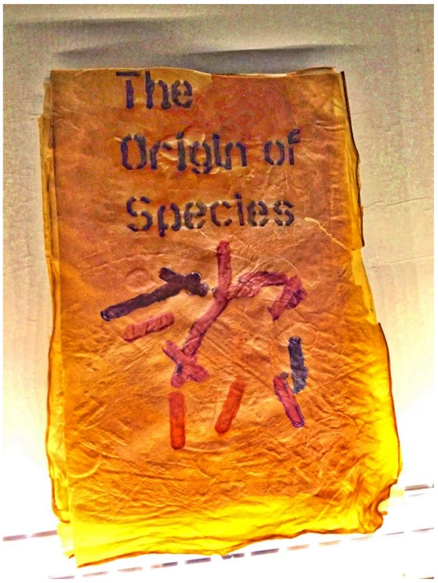Artist: Dr. Simon F Park The Origin of Species "The small book shown here was grown from and made entirely from bacteria. Not only is the fabric of its pages (GXCELL) produced by bacteria, but the book is also printed and illustrated with naturally pigmented bacteria. " Posted 27 March 2016 Photo credit: Dr. Simon F. Park