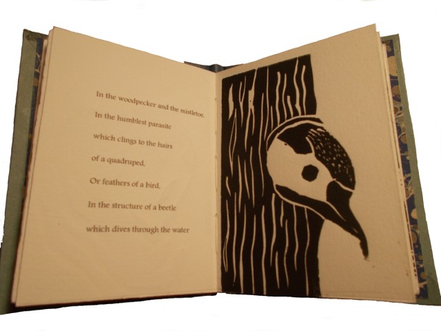 Artist: Angela Thames Darwin's Poetic Words Hardbound, 12 pages, 12 x 8 cm, 8 linocuts, Somerset paper