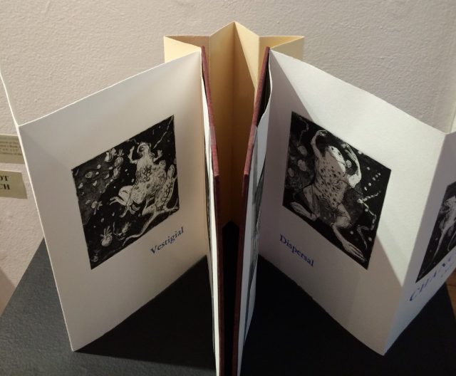 Diane Stemper Universal Sample (2014) Edition of 4, Intaglio and letterpress on Arches 