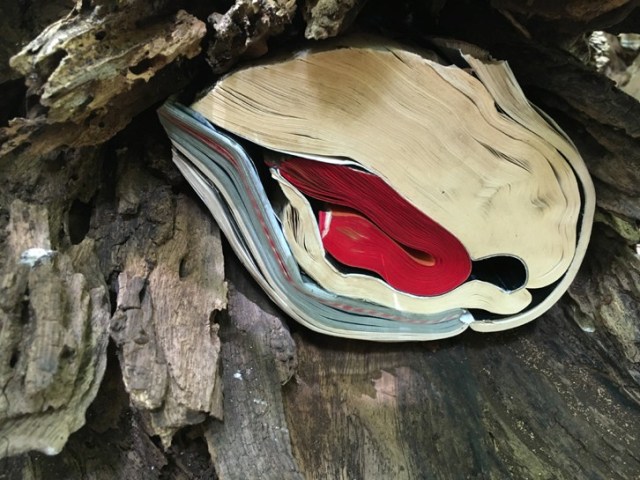 Detail from Whorl ("Nestled") 2016 Site-Specific Installation on view September 6, 2016- September 7, 2017 University of Hawaii at Manoa Art Building's Bamboo Breezeway © Copyright jacqueline rush lee 2017. All rights reserved. 