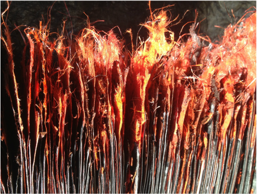 Holuhraun, 2014-2015. View of the pages.