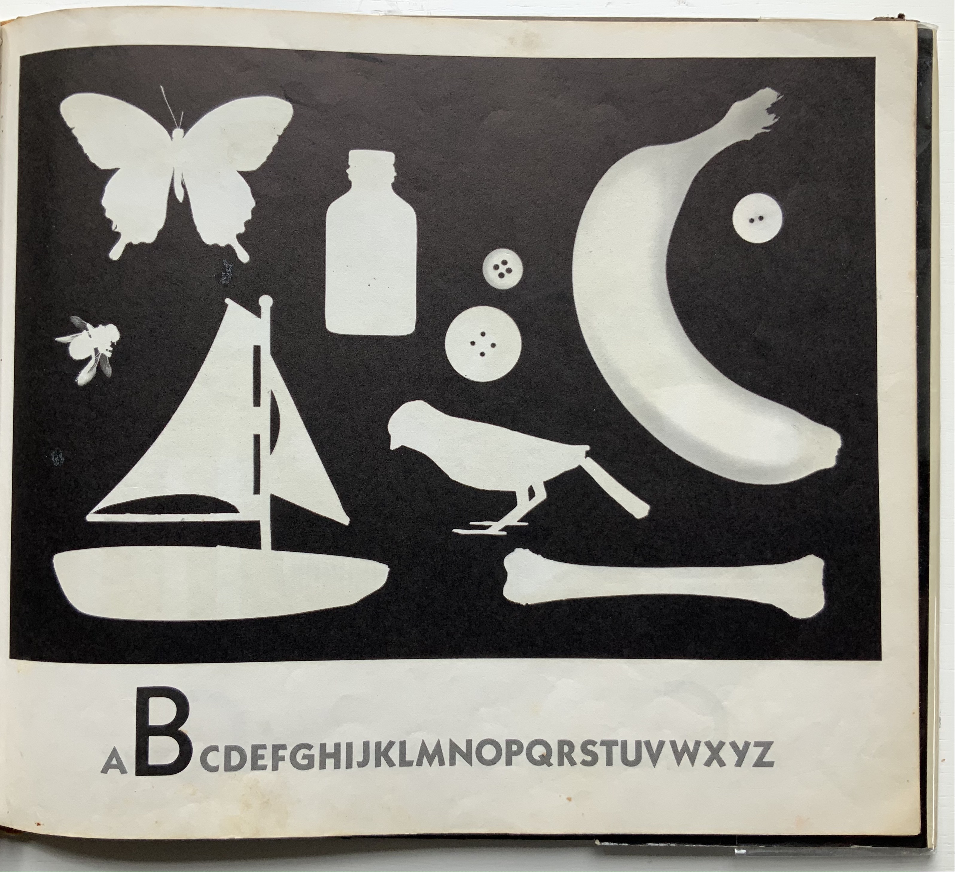 Books On Books Collection – Tana Hoban – Books On Books