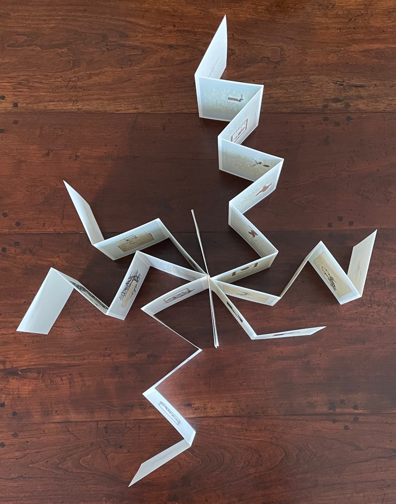 A zigzagging display of a folded book with illustrated pages, resting on a wooden surface.