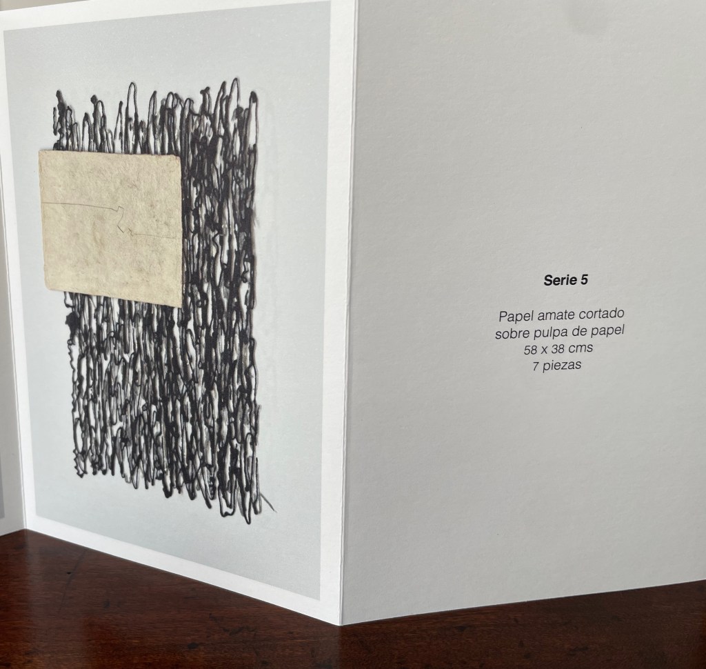 An art piece featuring a black and white drawing with textured lines and a rectangular piece of beige paper overlay. Accompanied by a description stating 'Serie 5', with details about the materials and dimensions.