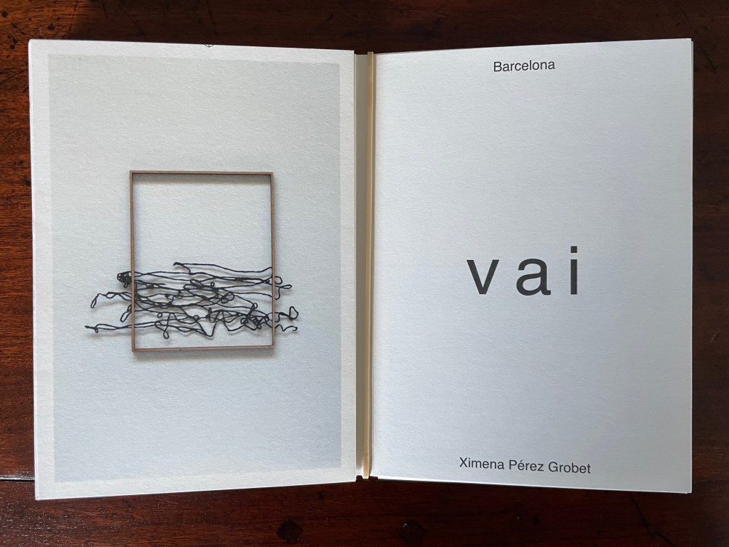 Open book displaying an artistic illustration on the left page, featuring tangled wire in a rectangular frame, and the word 'vai' in bold on the right page with the author's name, Ximena Pérez Grobet, below.