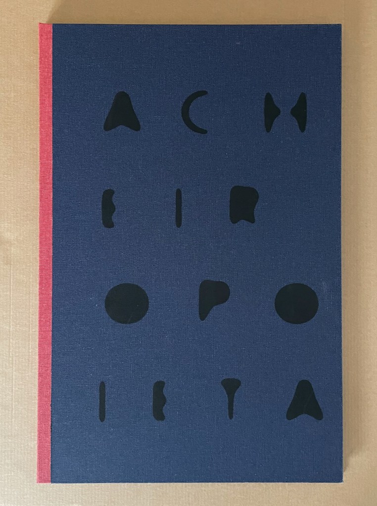 A navy blue book cover with black stylized letters and shapes arranged in a grid pattern, featuring a red spine.