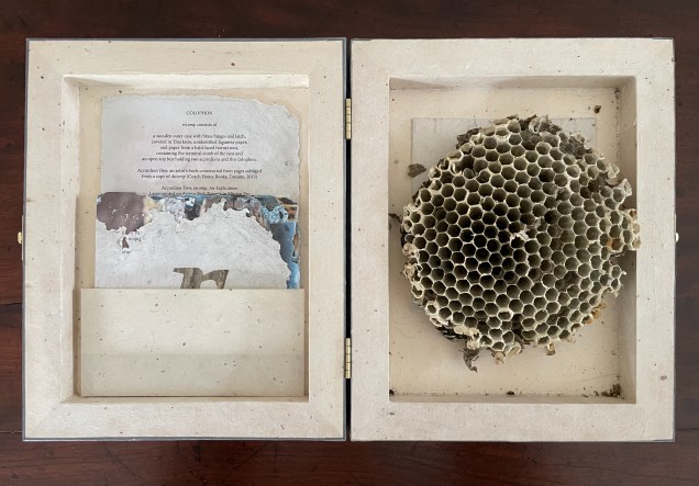 An open wooden box displaying a honeycomb structure on one side and an arrangement of paper fragments and a text on the other.