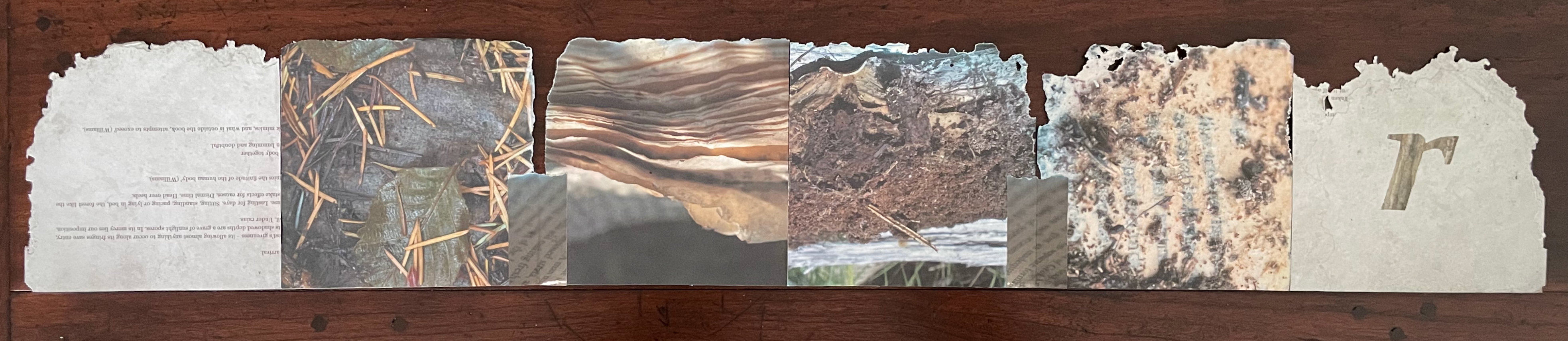 Accordion booklet titled 'abstract' featuring various textures, images, and the letter 'r' made from hornets' nest paper, representing the collaborative process of 'recomp'.