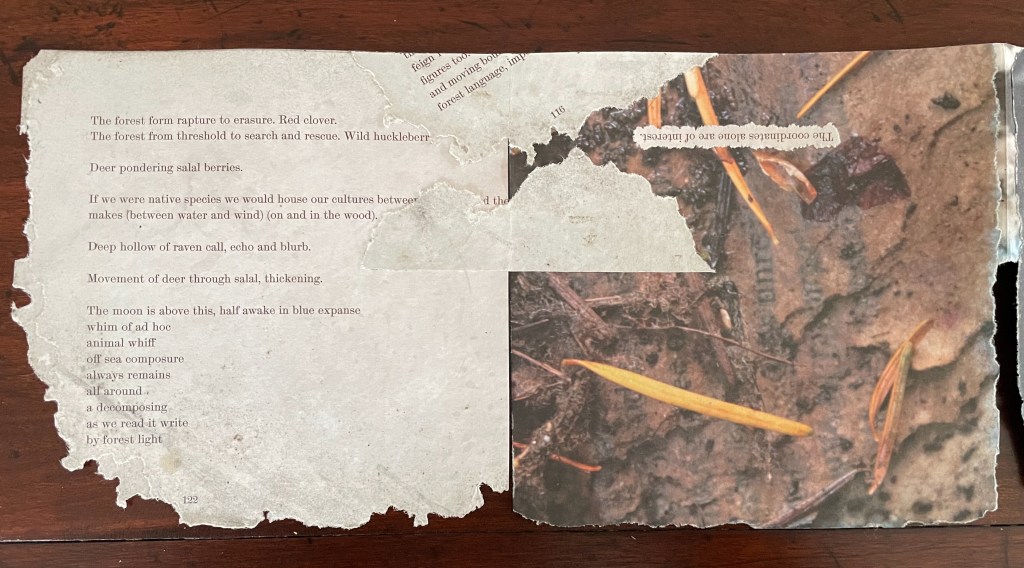 A partially torn page featuring text and a natural background, with visible wear and remnants of a book.