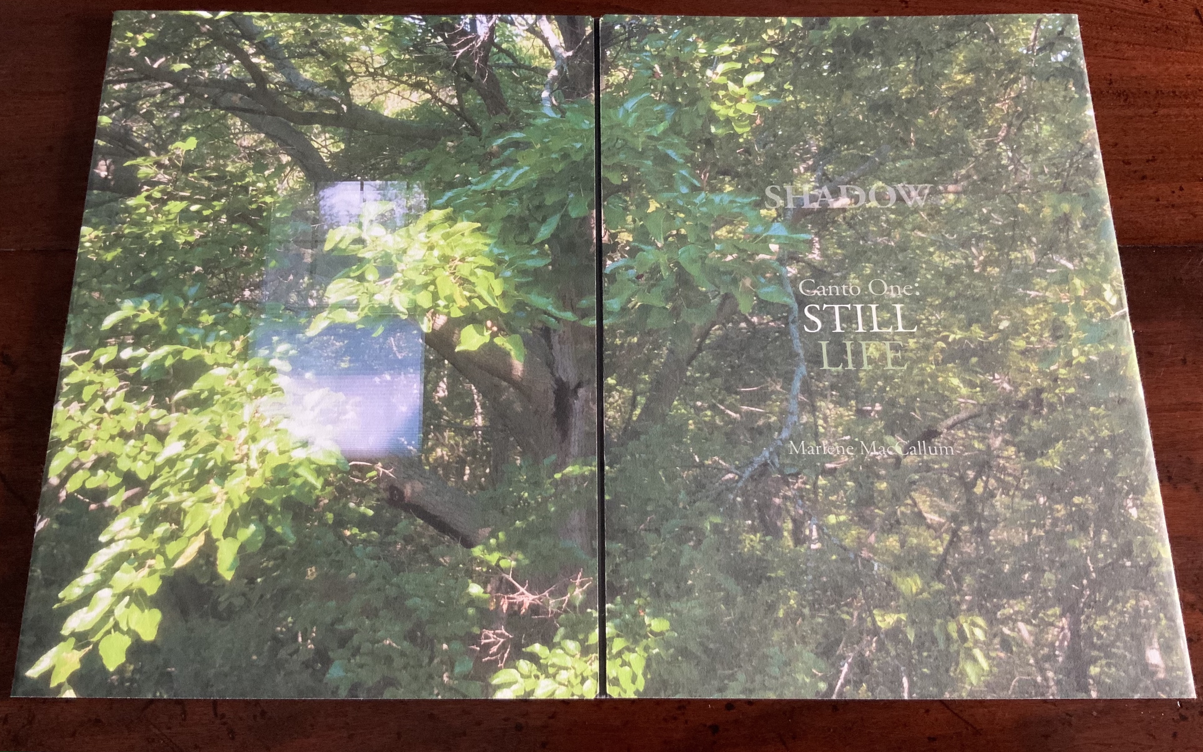 Cover of the artist book 'Shadow Canto One: Still Life' by Marlene MacCallum, featuring a photograph of leafy greenery and a subtle window reflection.