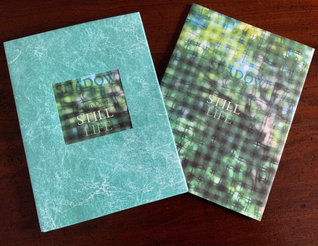 Two artist's books titled 'Shadow Canto One: Still Life' and 'Still Life', featuring unique textured covers with a blend of greens and a window-like design.