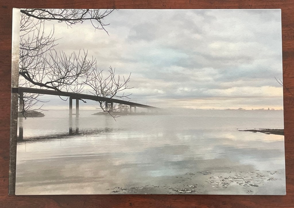 A serene view of a foggy shoreline featuring bare tree branches, a bridge extending over still waters, and a misty atmosphere under a cloudy sky.