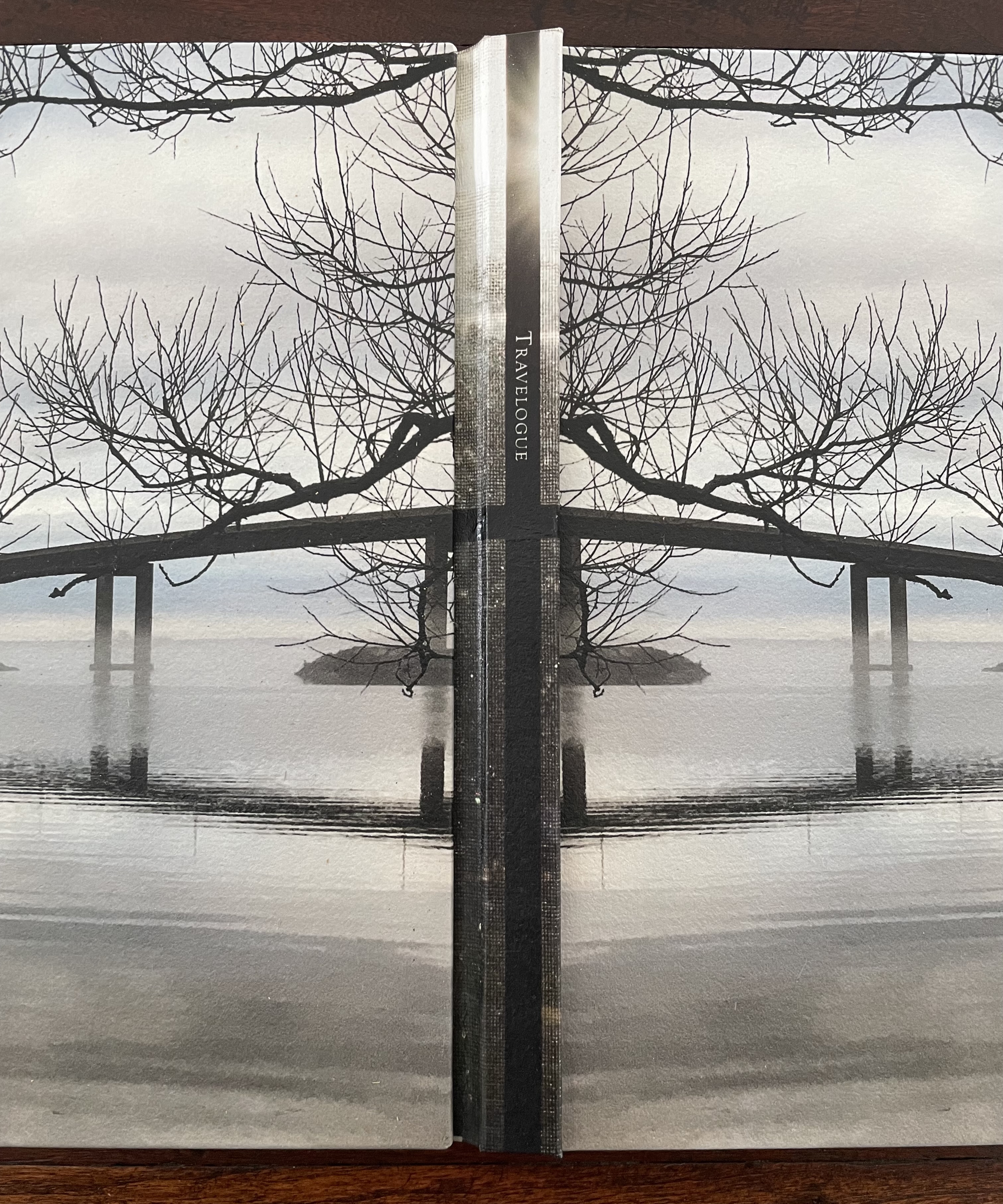 The cover of Marlene MacCallum's artist's book 'Travelogue', featuring a reflective image of bare branches and a serene waterfront. The book's title is prominently displayed in the center.