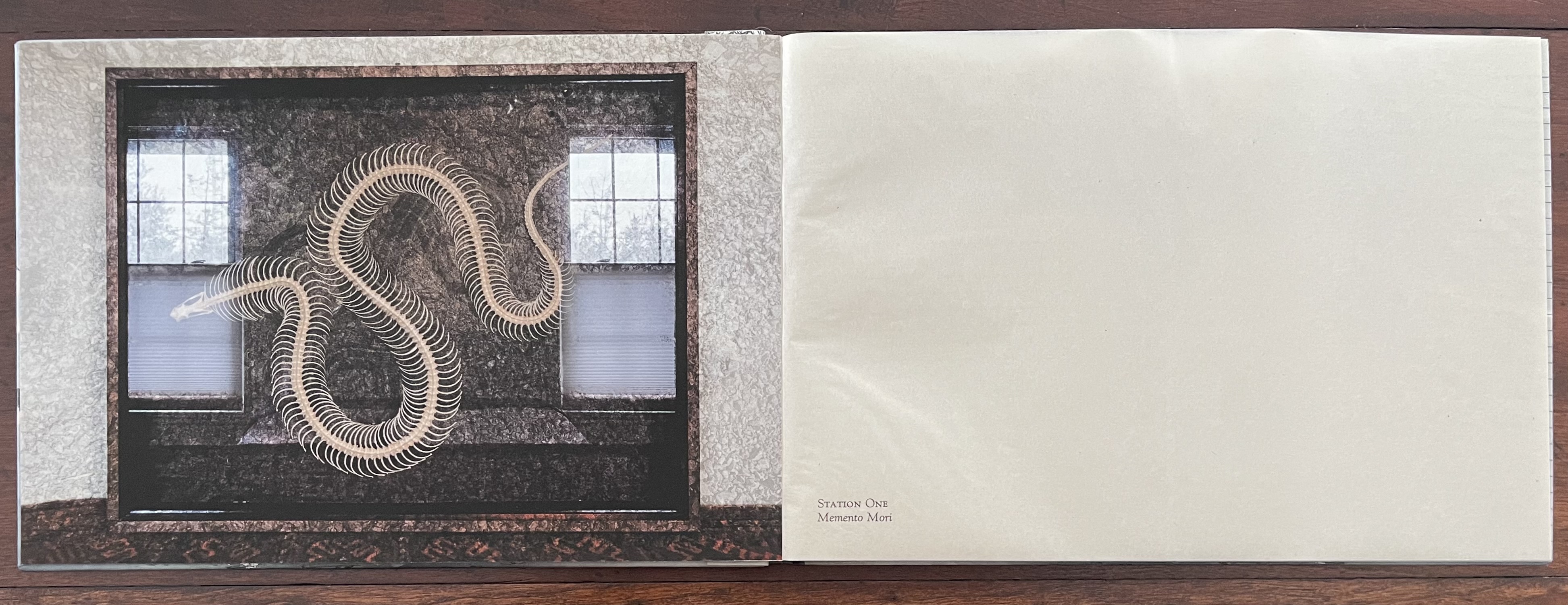 An artist's book cover featuring a snake skeleton displayed in a window with light filtering through, against a textured wall background. The words 'Station One Memento Mori' are printed in the lower right corner.
