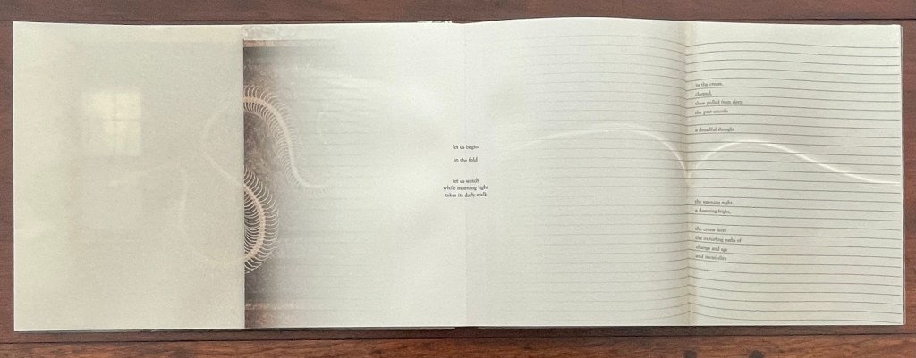 An open artist's book by Marlene MacCallum featuring a translucent page with an image of a snake skeleton and lined pages for handwritten text, showcasing a blend of visual and literary elements.
