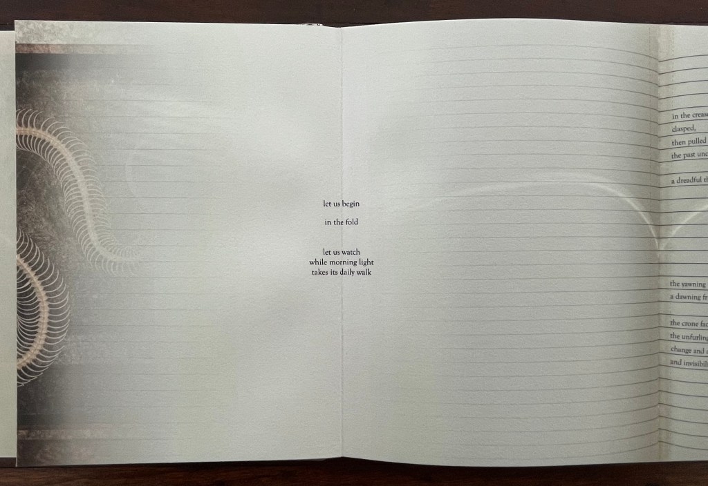 An open artist's book featuring a textured background with a faint abstract design on the left side and lined pages on the right. The text on the left reads 'let us begin in the field' and 'let us watch while morning light takes its daily walk' in a poetic layout.