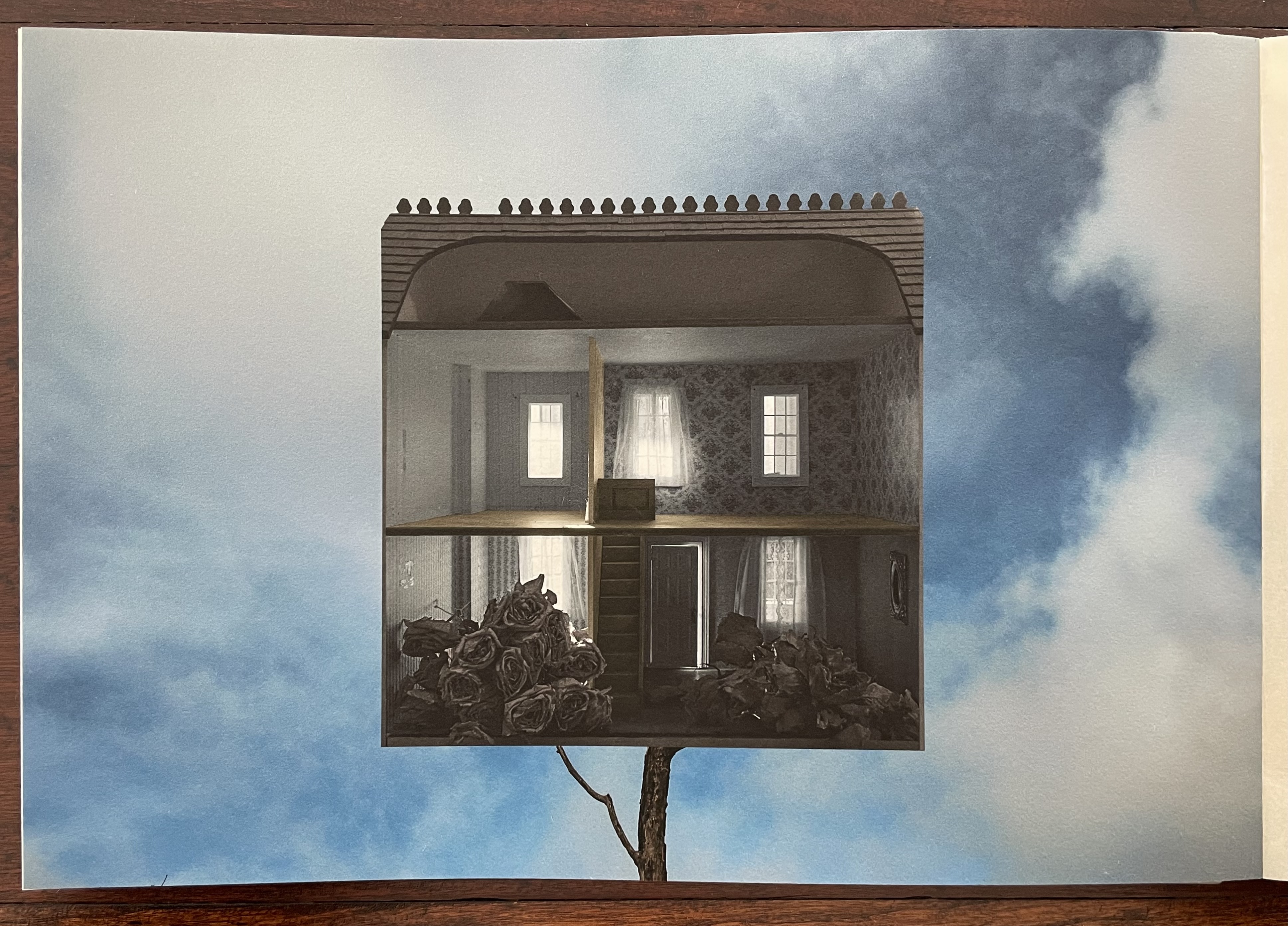 A conceptual photograph of a dollhouse positioned against a backdrop of clouds, featuring a split view that reveals a detailed interior and a collection of dried roses at the bottom.