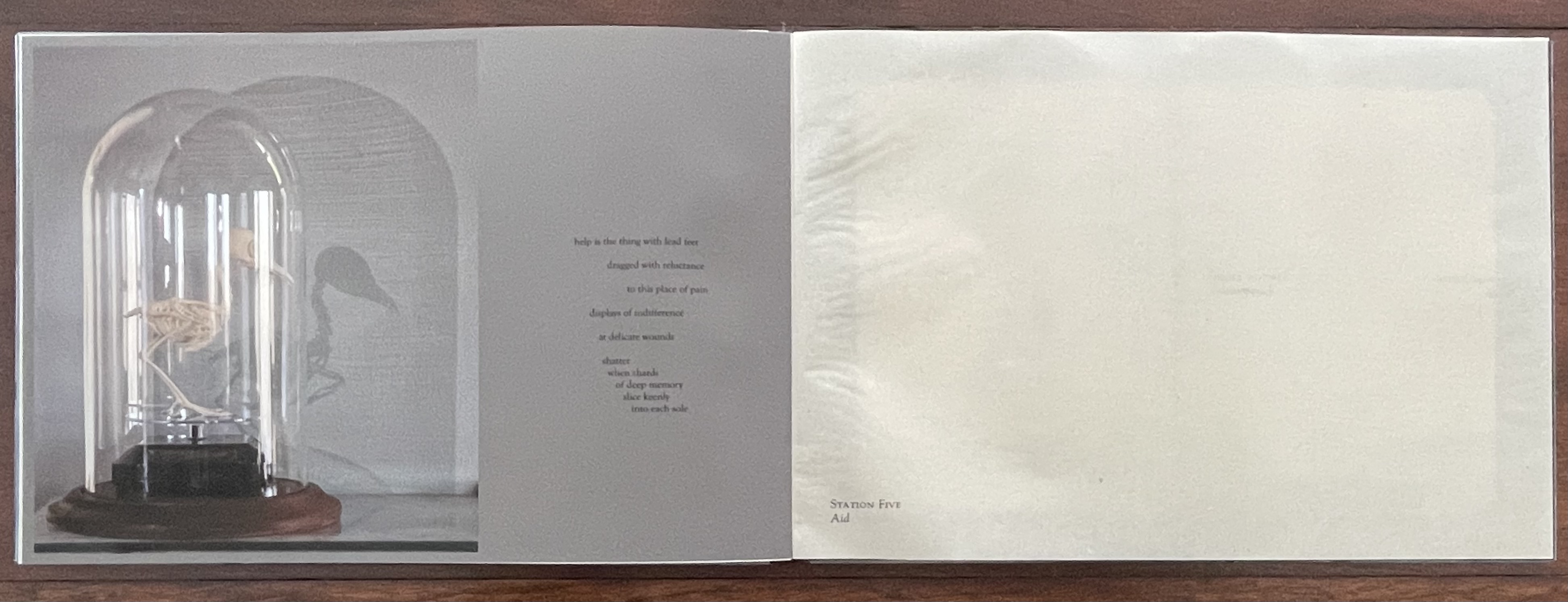 A closed artist's book featuring a glass dome with a bird skeleton displayed inside on a wooden base. The opposite page features text titled 'Station Five: Aid' with a poetic excerpt.