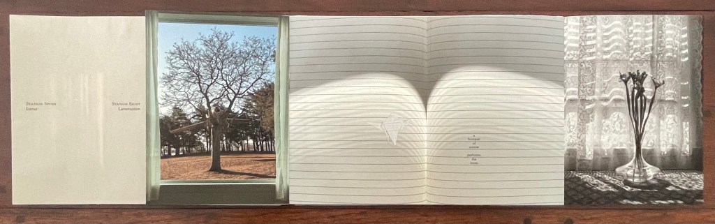 An open artist's book showcasing a landscape photograph of a tree through a window frame, alongside lined pages and a black-and-white image of a vase with flowers set against a curtain.