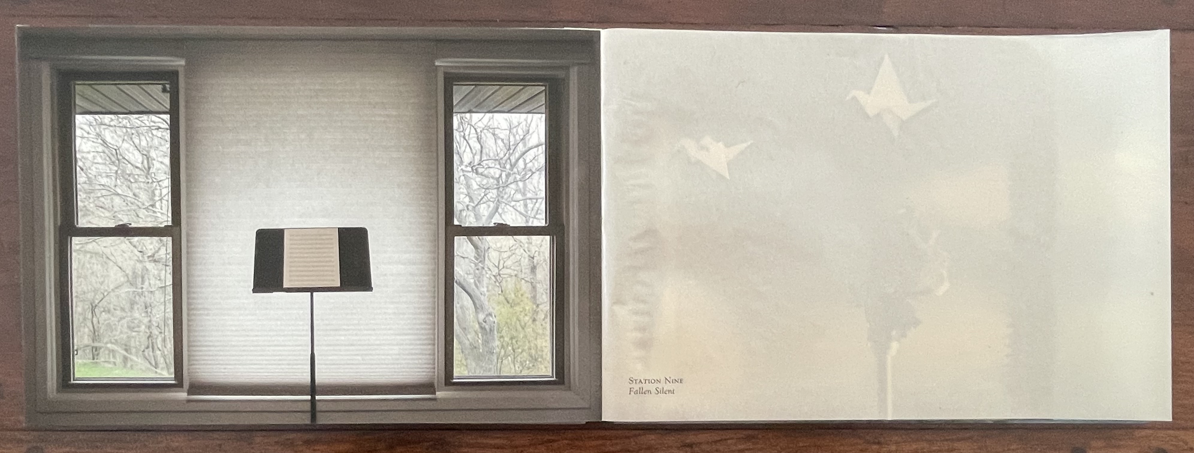 A view of a room with two windows framing a standing music stand, while trees and a grassy area are visible outside. The left side features a textured window covering, contrasting with the bare interior walls.