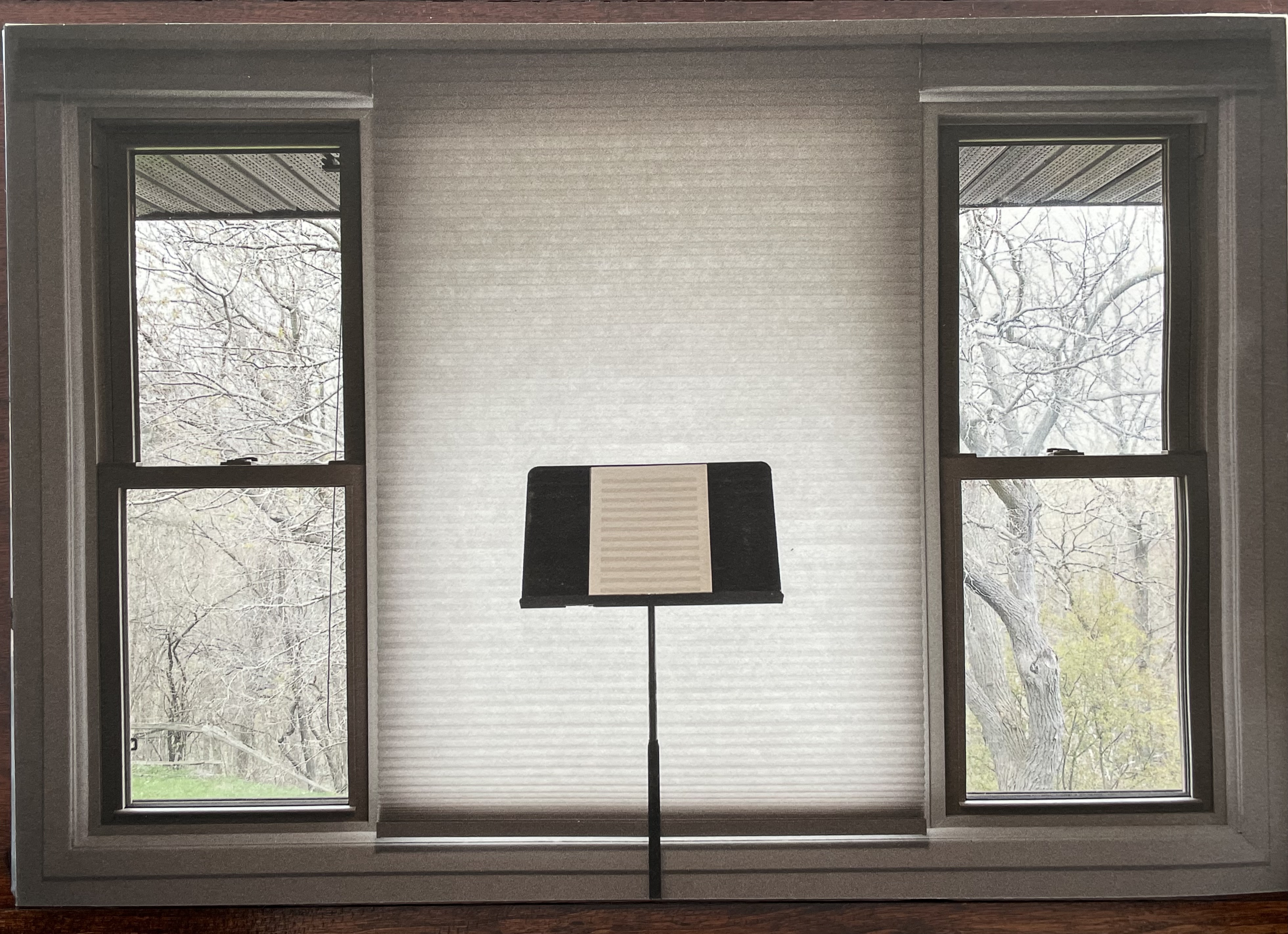 A view of a room with two windows framing a music stand in front of a softly lit, textured background. The windows show bare trees outside, hinting at a tranquil yet stark environment.