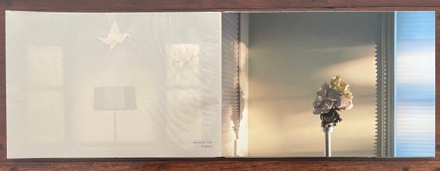 Open artist's book spread featuring a paper crane and a flower arrangement under sunlight, illustrating a blend of reflection and shadow.