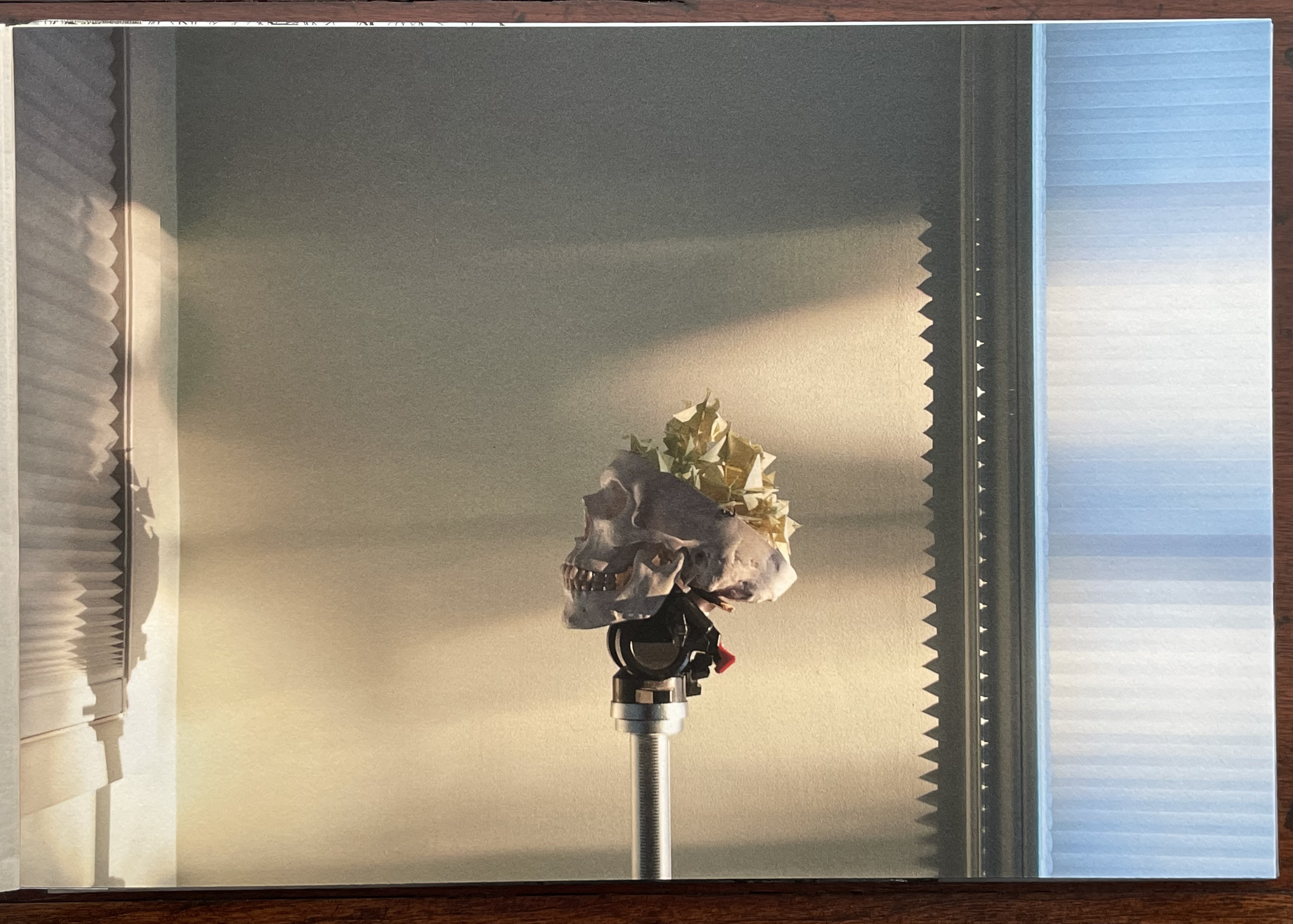 A close-up photograph of a skull adorned with a floral arrangement, positioned on a metal stand, with soft light casting shadows in a room with partially closed blinds.