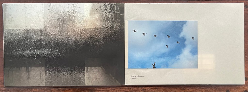 A close-up view of a book spread featuring two panels. The left panel displays a foggy glass surface with water droplets, partially obscuring a view. The right panel shows a clear sky with a flock of birds in flight against a bright blue background. Below the right panel, the text 'STATION ELEVEN Pinned' is visible.