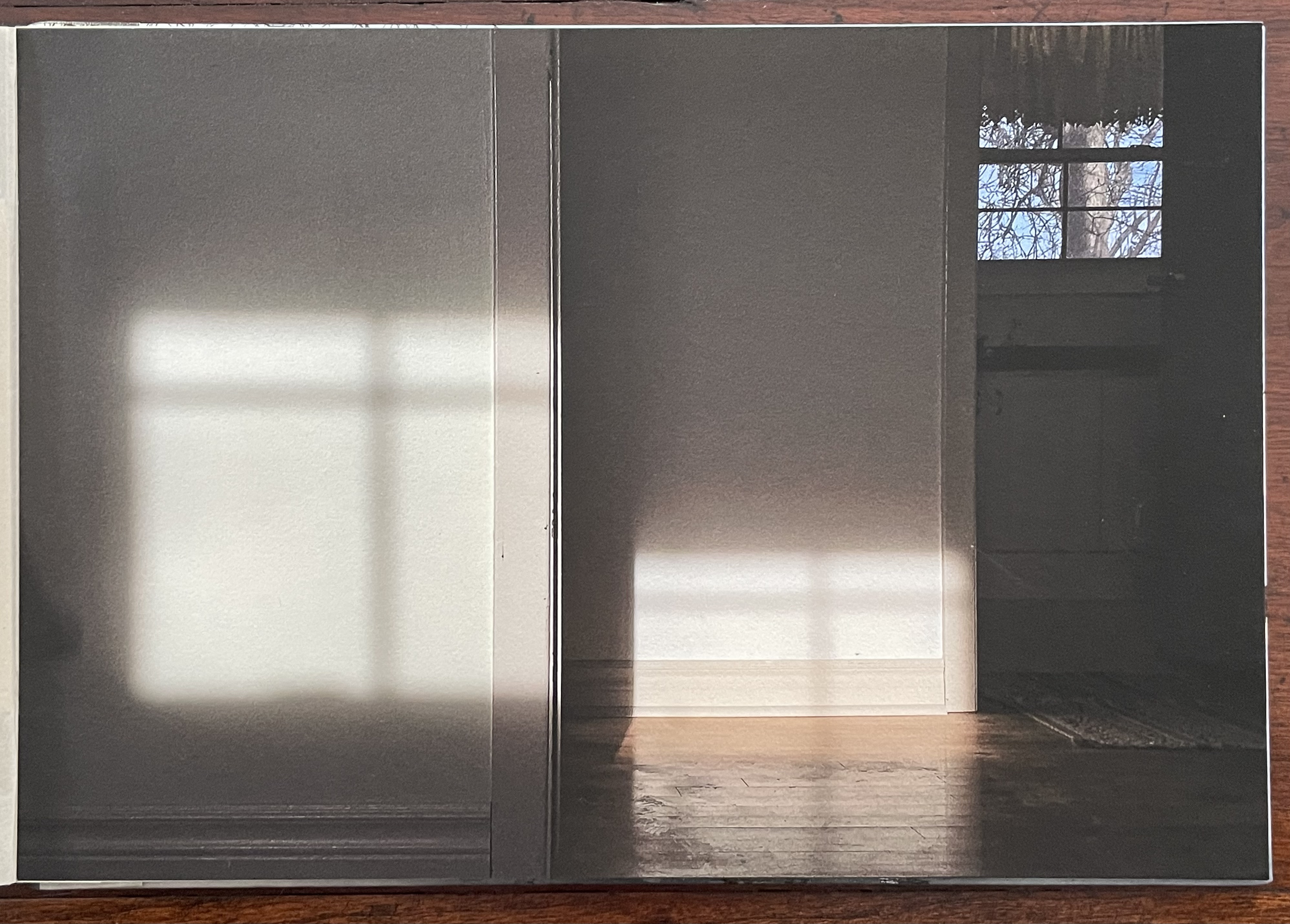 A dimly lit interior scene showcasing a wall with sunlight casting a shadow onto the floor, revealing a window in the corner with tree reflections outside.