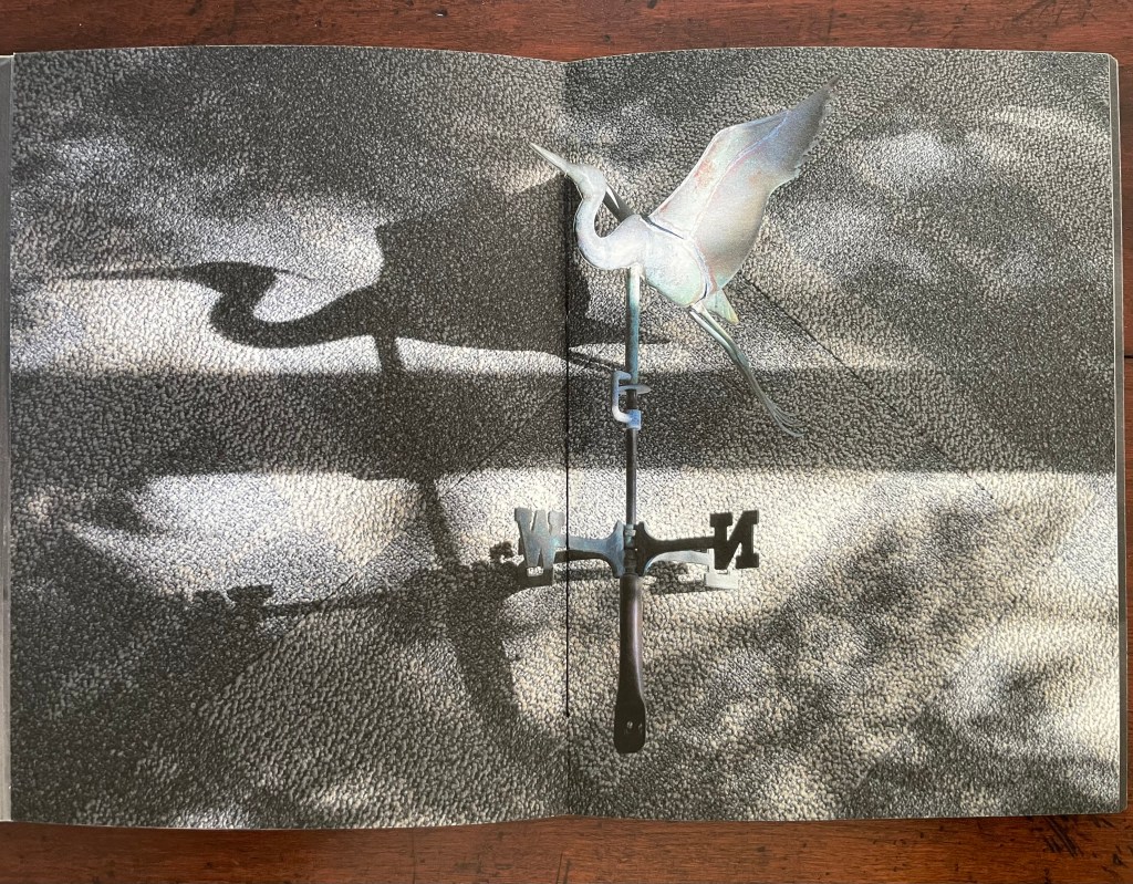 A close-up view of an artist's book spread featuring a metal heron weathervane casting a shadow on a textured background, surrounded by soft light patterns.