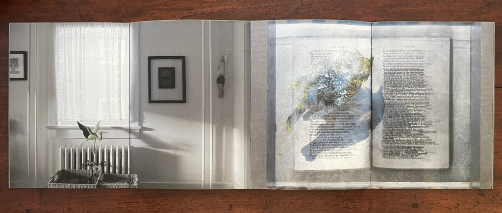 An open artist's book featuring layered images of a window, a plant, and text pages with visible shadows, set against a wooden table surface.