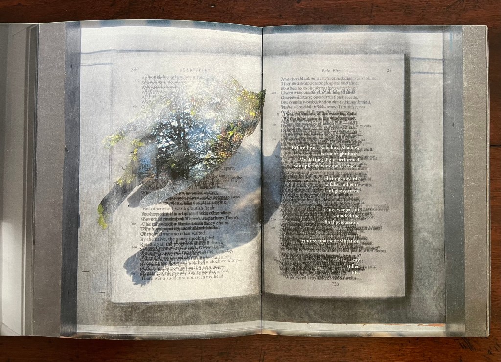 Open artist's book featuring layered text and images, showcasing a hand casting a shadow over a page with text from 'Pale Fire' and a double exposure of trees.