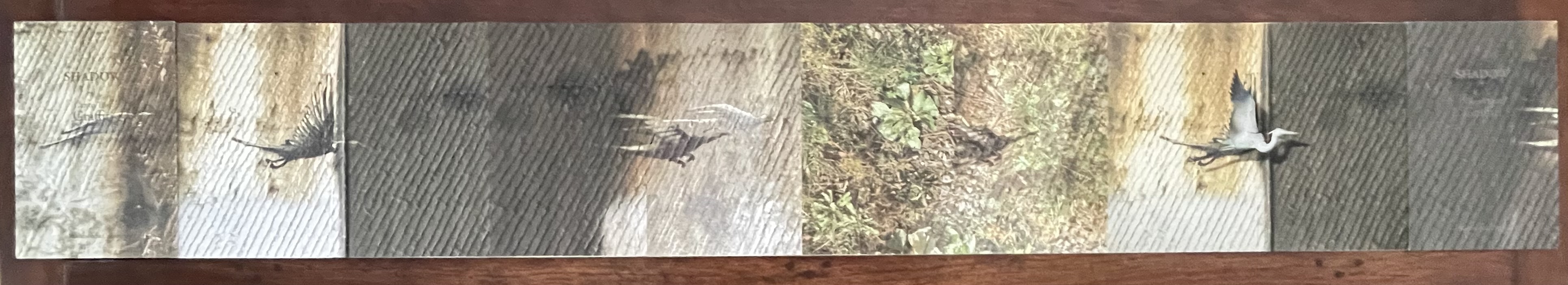 An artist's book titled 'Shadow' features layered images of a bird in flight against a textured background, showcasing a blend of photography and book structure.