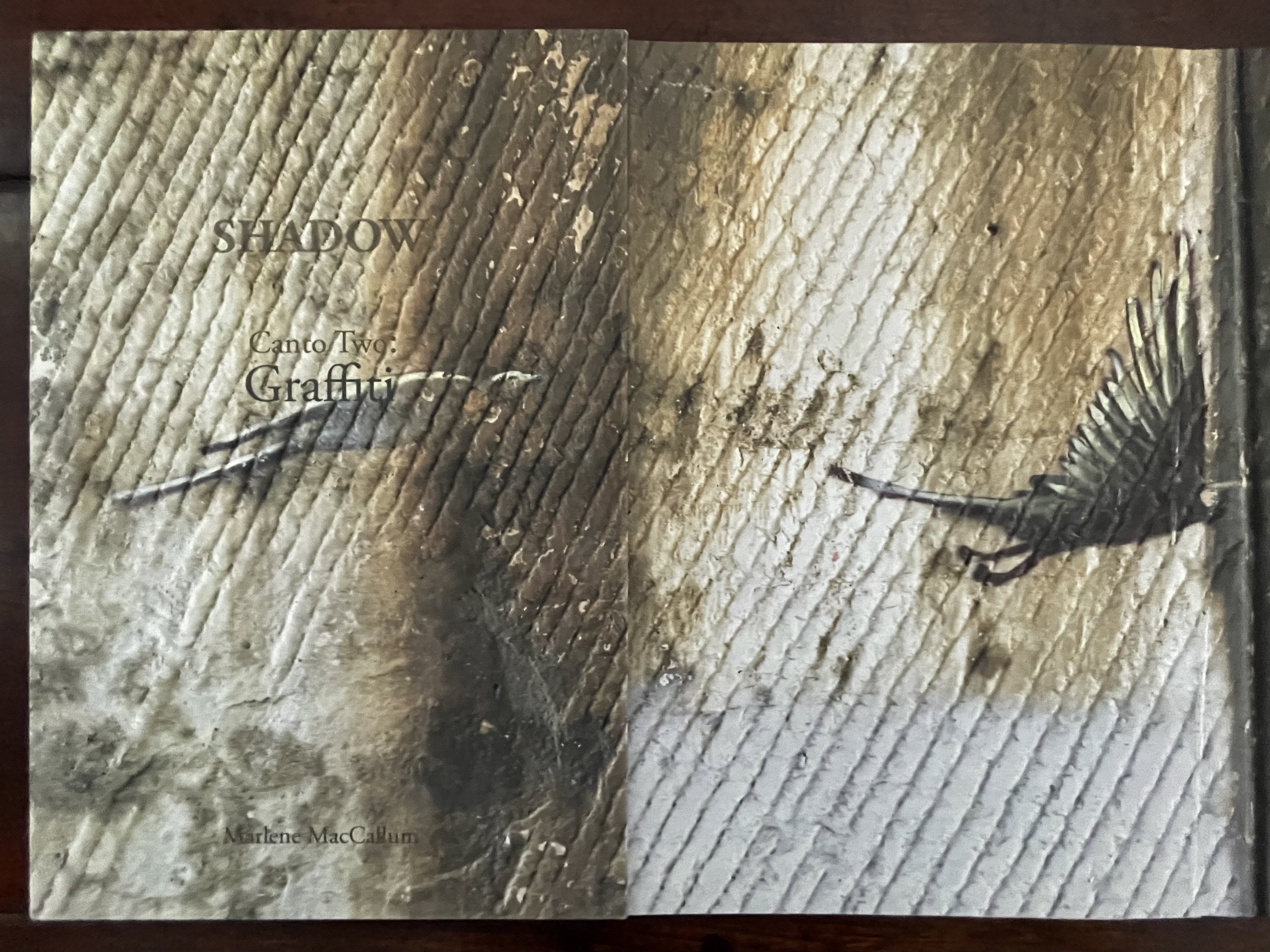 Cover of the artist's book 'Shadow: Canto Two: Graffiti' by Marlene MacCallum, featuring textured, earthy tones and an image of a bird in flight.