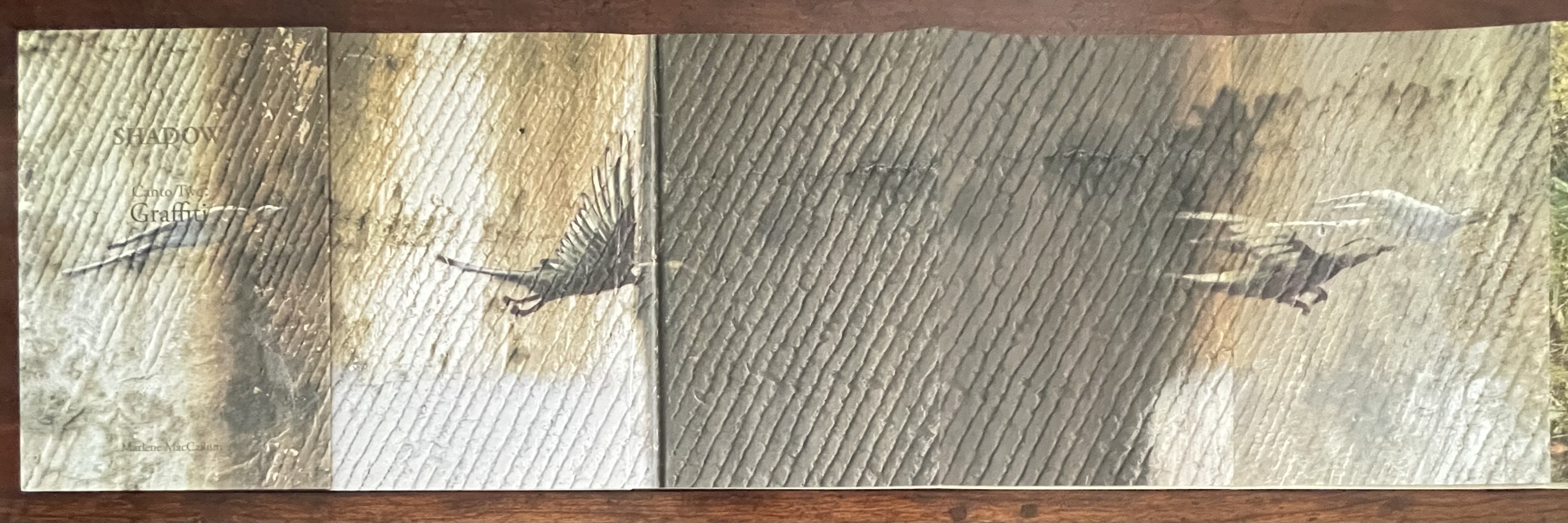 Open artist's book titled 'SHADOW Canto Two: Graffiti', featuring layered images of birds in flight against a textured background, with subtle colors and shadows.