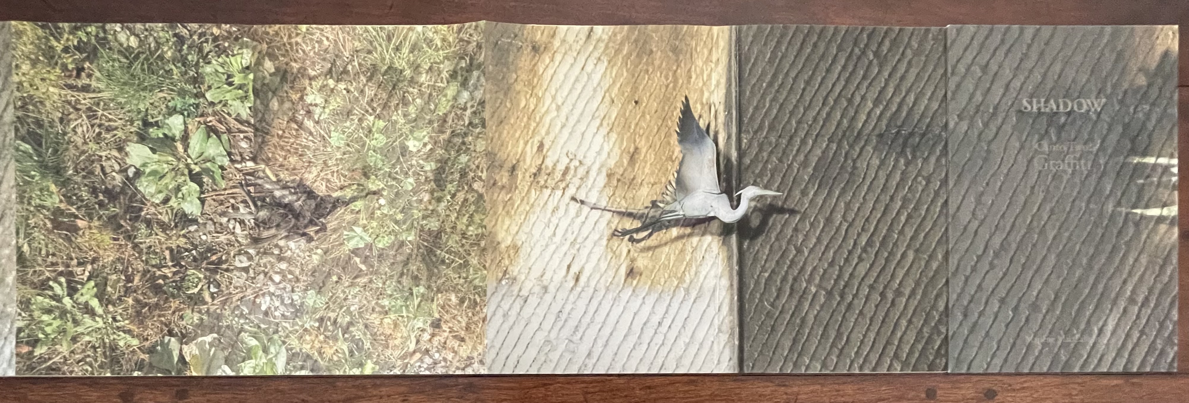 An open artist's book titled 'SHADOW: Canto Two: Graffiti.' The left side features a textured grassy surface with foliage and a shadow, while the center displays a flying bird against a wooden background, and the right reveals a striped surface with the title printed on it.