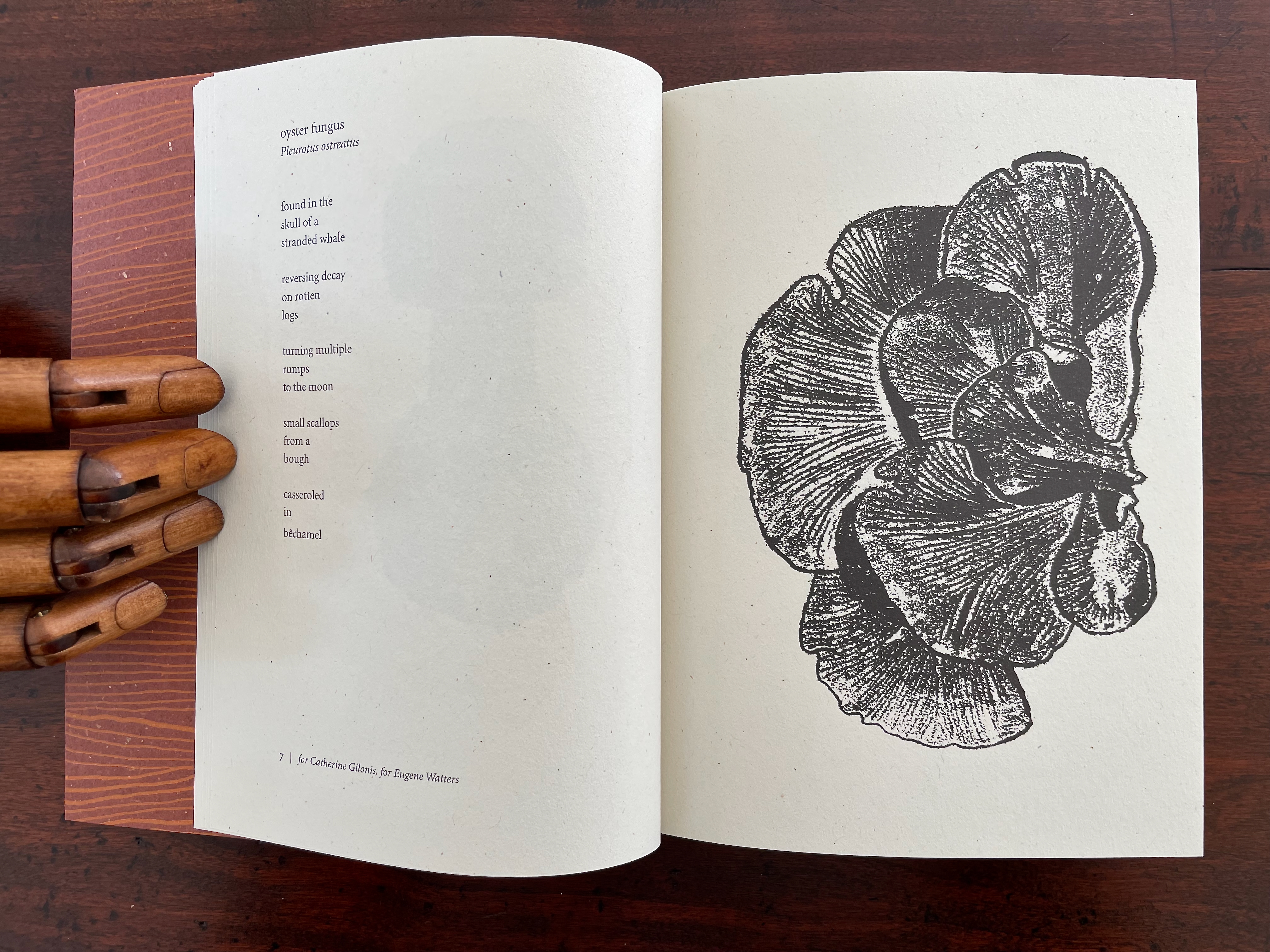 Open book page displaying a poem titled 'oyster fungus' by Harry Gilonis, featuring an illustration of a mushroom on the opposite page.