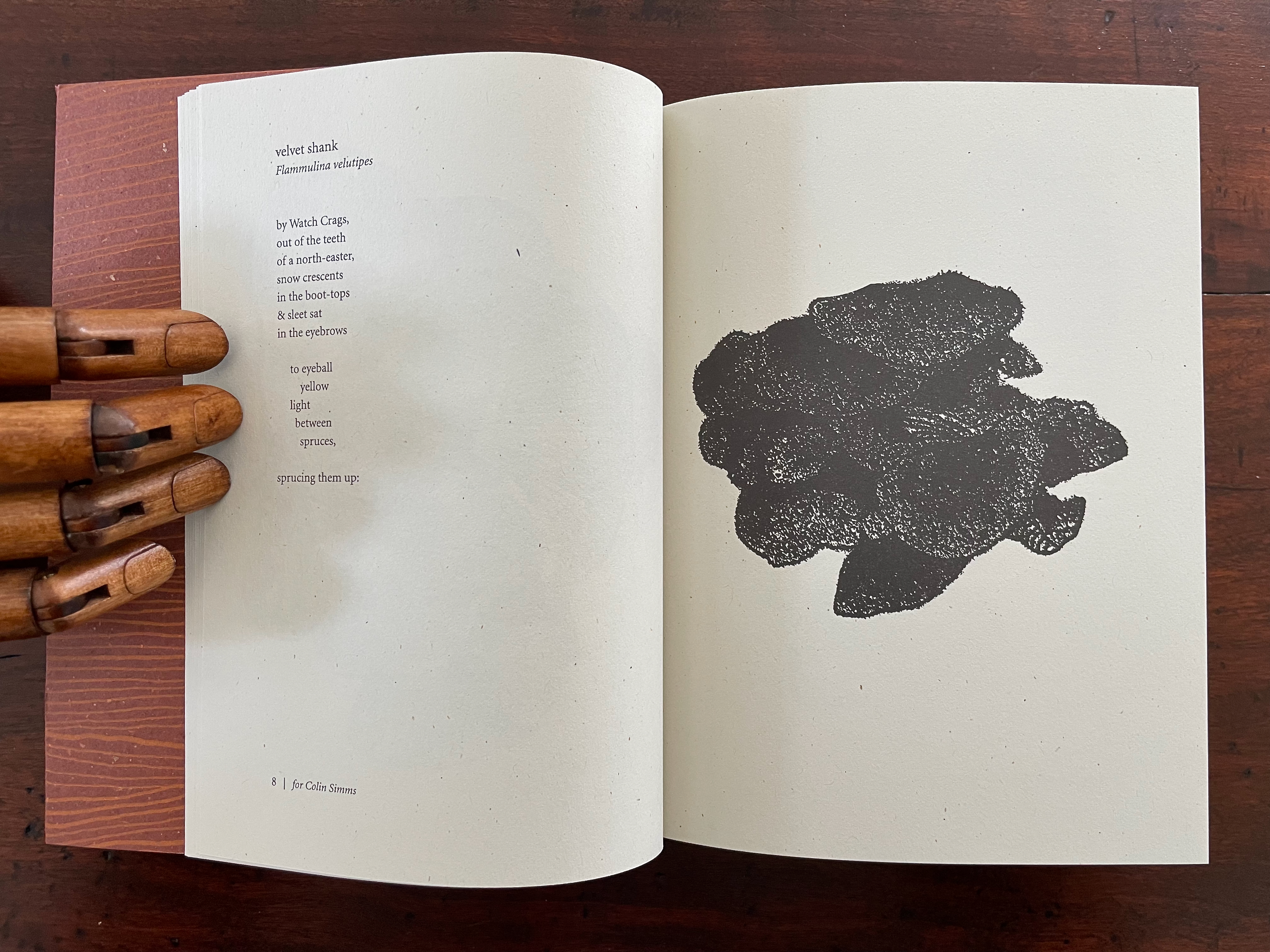 A wooden hand model resting on an open book page featuring a poem titled 'velvet shank' by Colin Simms, with a dark ink illustration of a cluster of shapes on the opposite page.