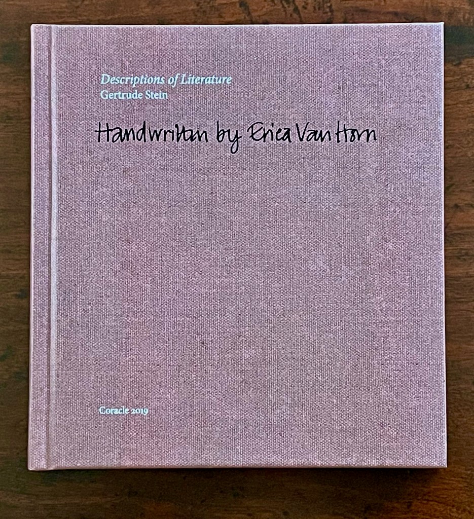 Cover of the book 'Descriptions of Literature' by Gertrude Stein, handwritten by Erica Van Horn, featuring a light purple fabric texture with the title and author's name in contrasting text.