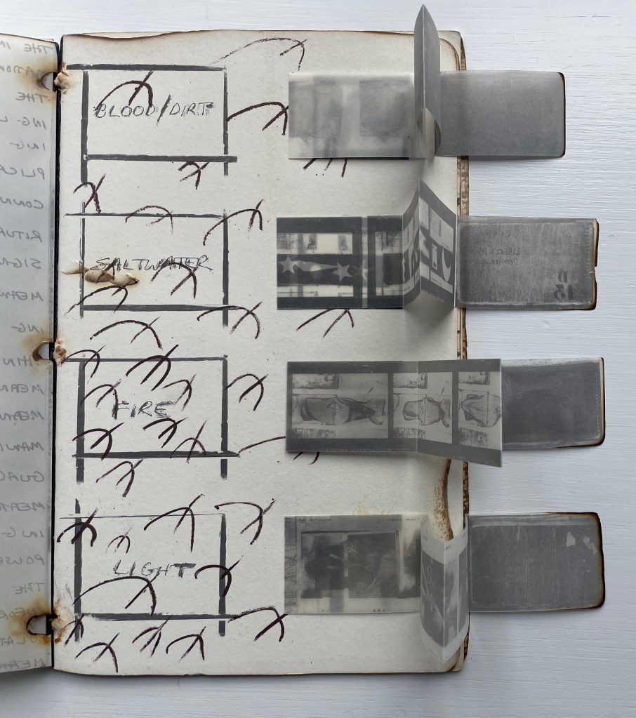 An open book page featuring handwritten words such as 'BLOOD/DIRT', 'SALT WATER', 'FIRE', and 'LIGHT', with overlapping transparent images. The page is decorated with sketched branches.