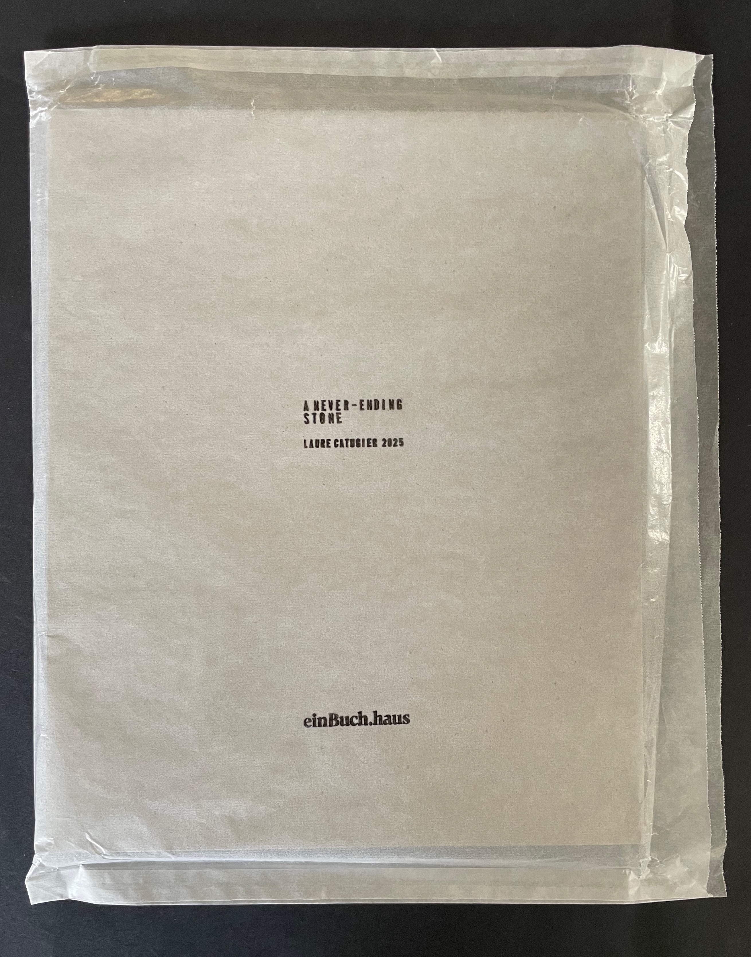 A wrapped book titled 'A Never-Ending Stone' by Laure Catognet, published in 2025, displayed on a black background.