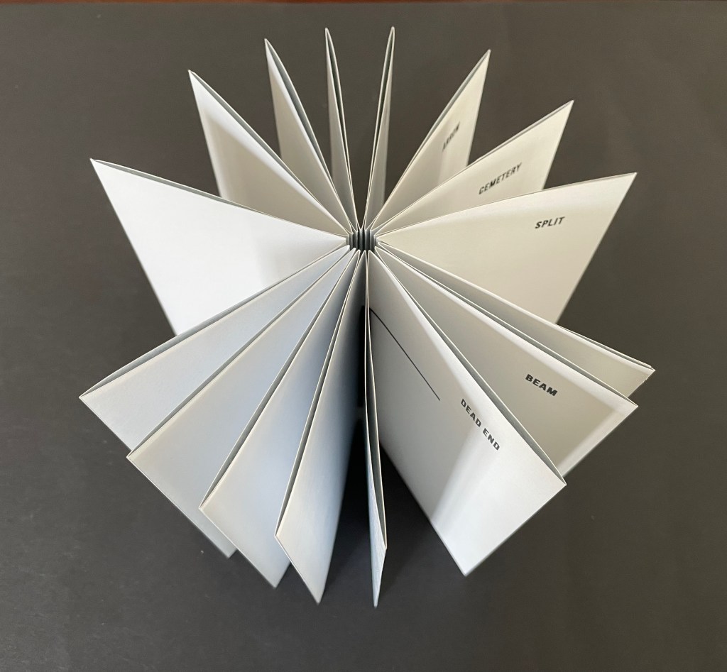 An open book with multiple pages arranged in a fan shape, displaying various words printed on each page.